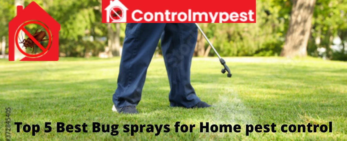 best bug sprays, best bug controller, get rid of bugs